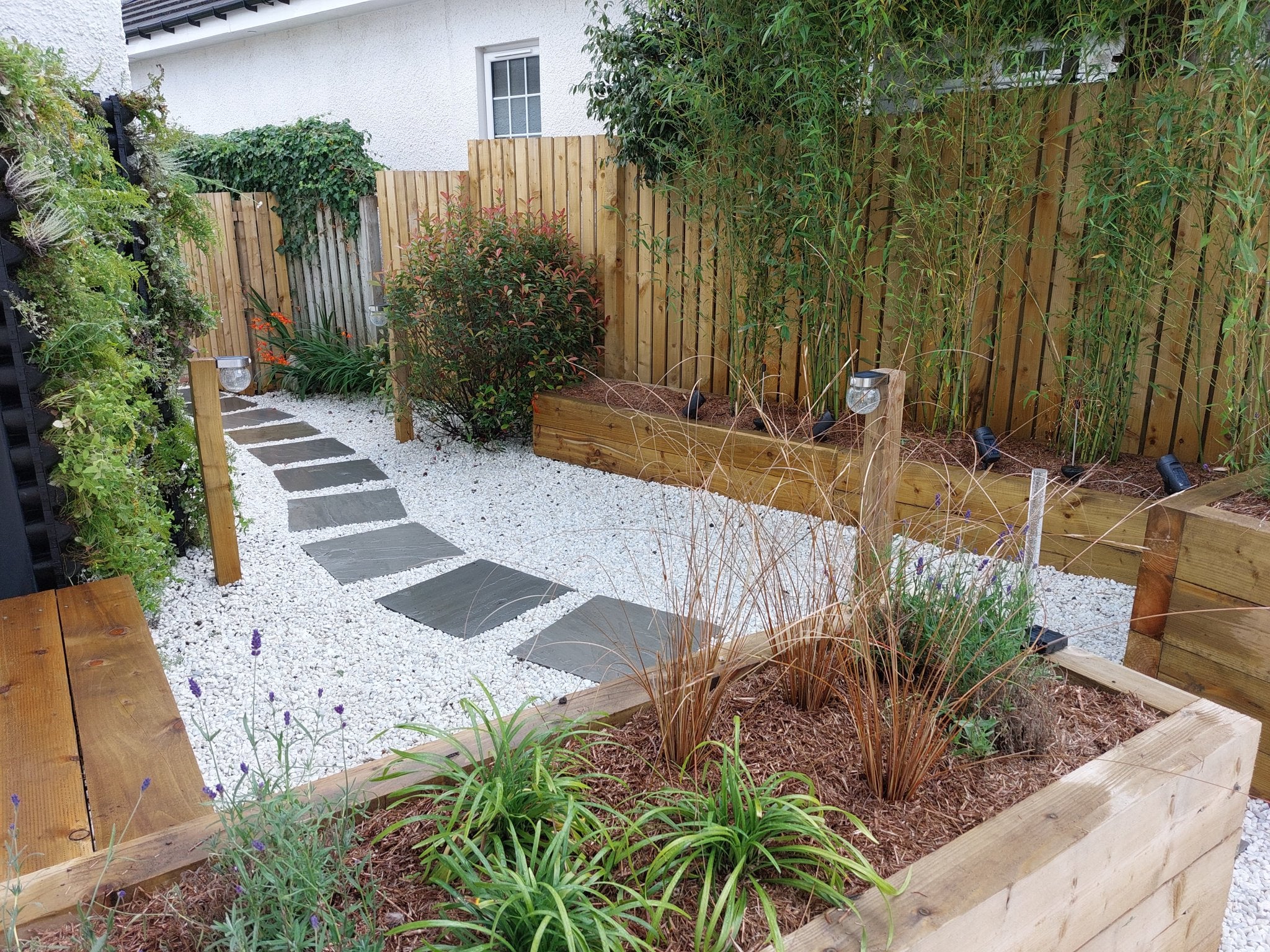 Backyard garden pathway with stepping stones, gravel, and landscaped plants in a residential yard.